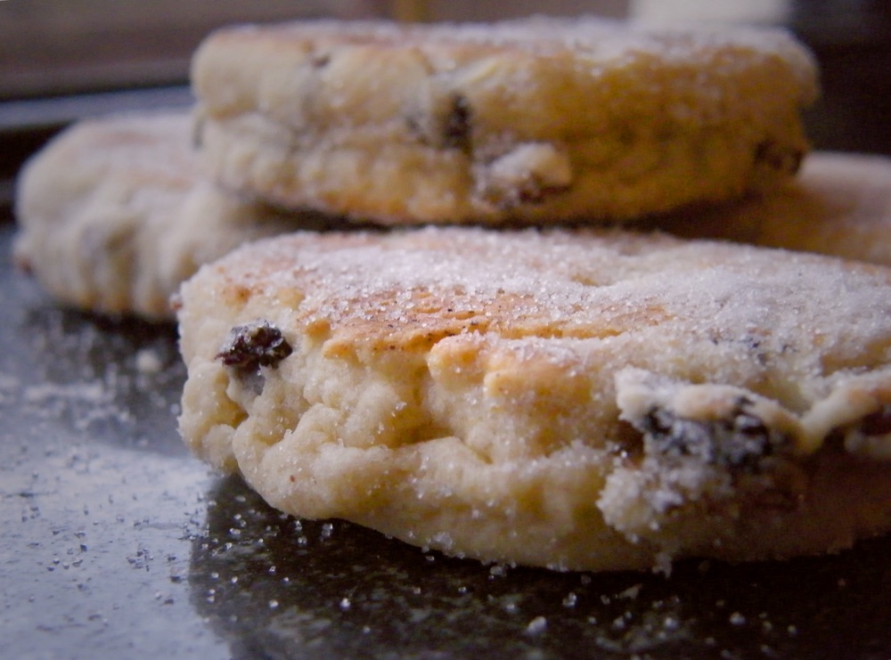 A welsh cake, dusted with sugar